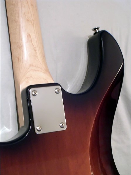 Bolt-On Neck Guitar