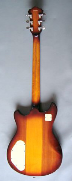 Neck Through Body Guitar